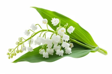 Zelfklevend Fotobehang Lily-of-the-valley, isolated, white background © Artem