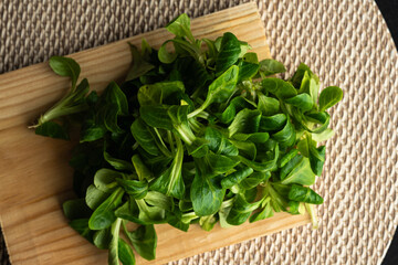 salad leaf, green,  background, fresh