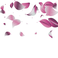 Violaceous Leaf Herbal Vector White Background