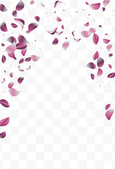Violaceous Leaves Nature Vector White Transparent