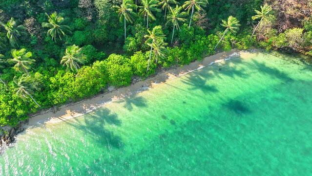 A mesmerizing tropical paradise, Clear azure waters, sun-kissed sandy shores, coconut trees dancing in the breeze, captured from above by a drone. High-quality video. Trat Province, Thailand. 4K HDR.
