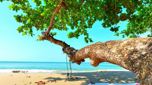 Indulge in the serenity of a white sand beach and crystal clear sea. This is the ultimate destination for relaxation and rejuvenation. Journey and travel concept. Ko Chang island, Thailand. 4K HDR.
