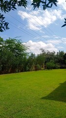Serene Park Landscape with Lush Trees and Trimmed Lawn