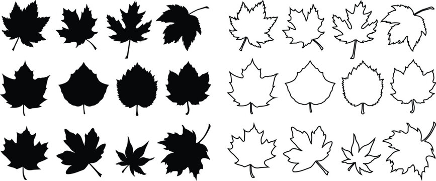 Fall leaves icon in flat, line style set. isolated on transparent background. Various fallen leaves autumn concept. Maple tree leaf. Seasonal holiday thanksgiving greeting card. vector for apps web