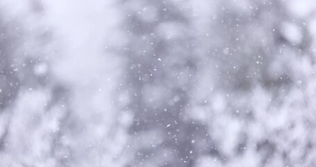 Global warming winter snowstorm environmental freezing temperatures - Powered by Adobe