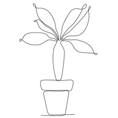 continuous line drawing of a sapling in a leaf pot vector illustration