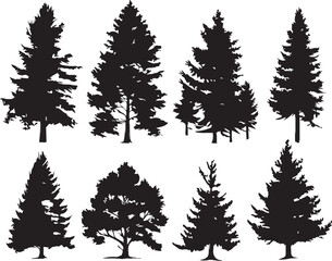 Fototapeta premium Set Christmas Trees. Hand drawn vector illustration