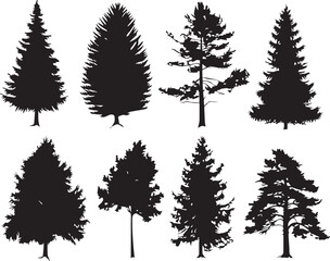 Fototapeta premium Set Christmas Trees. Hand drawn vector illustration