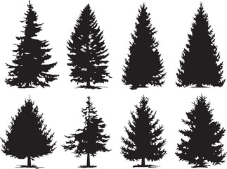 Obraz premium Set Christmas Trees. Hand drawn vector illustration