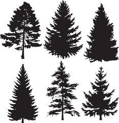 Obraz premium Set Christmas Trees. Hand drawn vector illustration