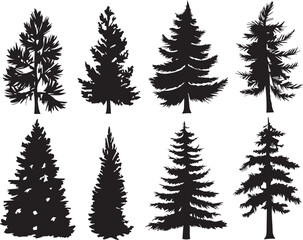 Fototapeta premium Set Christmas Trees. Hand drawn vector illustration
