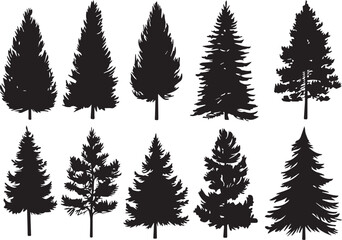 Set Christmas Trees. Hand drawn vector illustration - obrazy, fototapety, plakaty