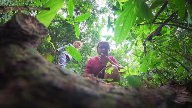 Family explore nature. Man and kid watch ants in the forest. Father and girl watch ants leaf cutters walking in the tropical forest