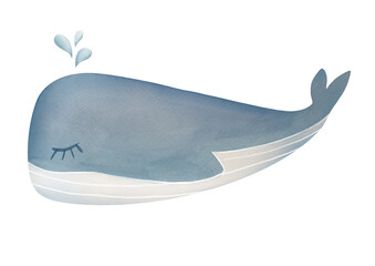 watercolor cute whale with water fountain. gentle children s illustration about underwater animals and sea creatures. one single clipart picture isolated on transparent background