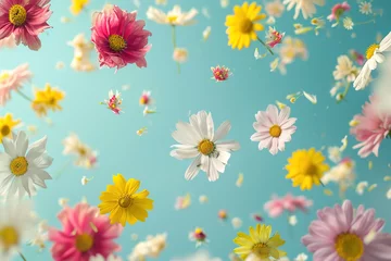Keuken spatwand met foto Floated in the air randomly spring various flowers with copy space. © Degimages