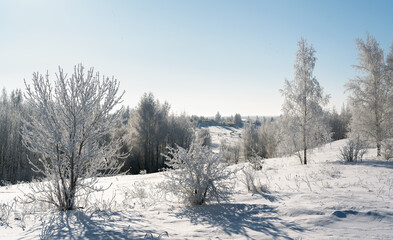 Winter nature during severe frosts, frost-covered trees against a blue sky background