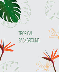 Summer background with tropical leaves. vector illustration