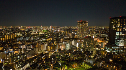 Fototapeta premium Night flight of Tokyo, Japan
