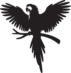 bird silhouette image