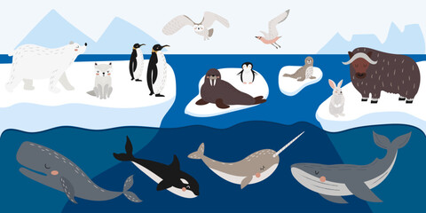 Vector set of wild polar animals, marine mammals and birds. Collection of Arctic animals on ice floes. Cute illustration in hand drawn style.  - obrazy, fototapety, plakaty