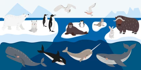 Foto op Aluminium Vector set of wild polar animals, marine mammals and birds. Collection of Arctic animals on ice floes. Cute illustration in hand drawn style.  © Hanna Perelygina