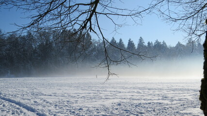 Fog and winter snow