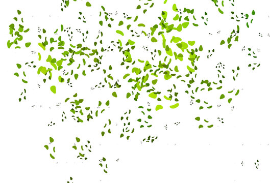 Light Green vector backdrop with abstract shapes. © Dmitry