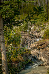 Rockies, forests and river along the Banff Windermer HWY Kootenay National Park British Columbia Canada