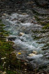 Tokkum Creek Kootenay National Park British Columbia Canada