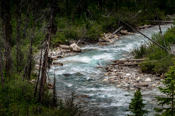 Tokkum Creek Kootenay National Park British Columbia Canada