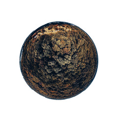 tiny planet autumn trees