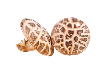 fresh chiitake musroom isolated on transparent  png