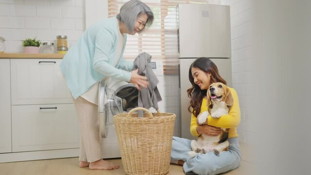 Young Asian girl hold and hug beagle dog and sit near senior woman as mother bring cloths into washing machine in their house.	