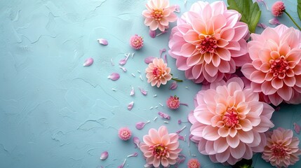 Colorful autumn dahlia flowers on pastel table with copy space for your text top view and flat...