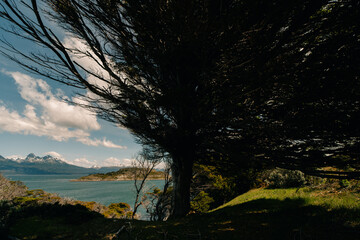 Lapataia bay in National Park Tierra del Fuego, Argentina