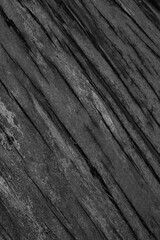 Bark texture of a falling tree background