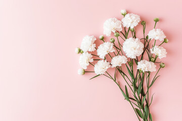 Fototapeta na wymiar Serene White Carnations Arranged Elegantly on a Soft Pink Background