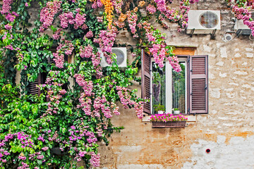 Fototapeta na wymiar window with shutters and air conditioning with fresh flowers on the wall. euro-trip