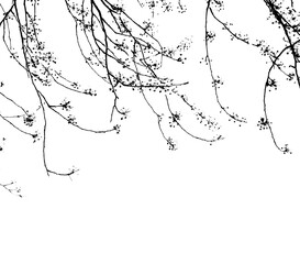 Filigree flowers in black against white background with copy space