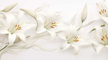 Lilies White Background, Hd Wallpapers PC, Background for presentations 