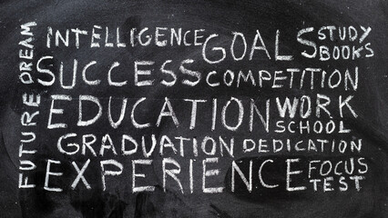 Las palabras work, experience, intelligence, success, future, education, goal, focus, dedication, escritas a mano con tiza en la pizarra