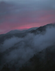 Neblina