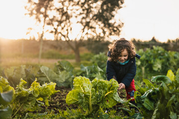 happy little boy digging the soil in the vegetable garden at sunset surrounded by plants - obrazy, fototapety, plakaty