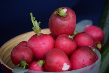 Rabanete