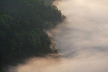 摩周湖の森に霧が覆いかぶさる