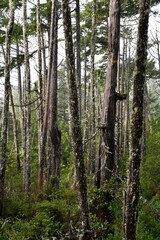 Uclulet Canada Storm watching trip