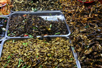 Obraz premium Street Food in Cambodia: Insects, Crickets, Worms (Market Stall in Siem Reap) 