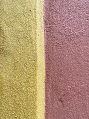 Fototapeta premium Painted walls in Oaxaca, Mexico