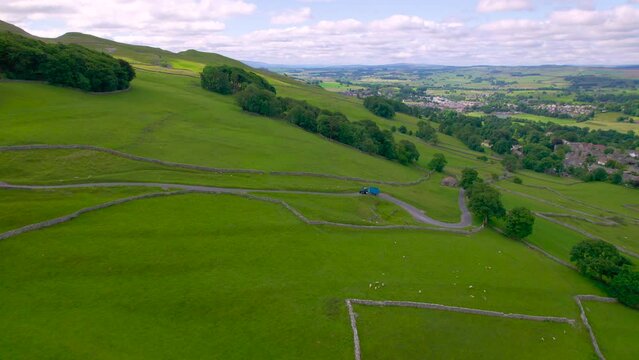 AERIAL: Tractor with trailer climbs a steeper road up a hill past green pastures where a flock of sheep graze. Idyllic rolling countryside with stone walled meadows in Yorkshire Dales National Park.