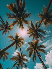 Upward View of Palm Trees with Sunburst and Clear Blue Sky